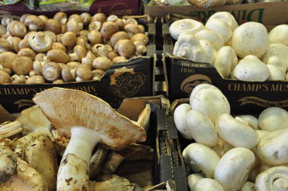 Para quem gosta de cogumelos, Granville Island Public Market, em Vancouver, no Canadá